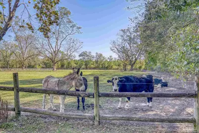 1650 Bear Bay Flats Rd, Laurel Hill, FL 32567 - Photo 43