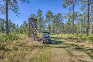 1650 Bear Bay Flats Rd, Laurel Hill, FL 32567 - Photo 63