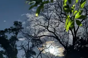 6020 Marie Ave, Pensacola, FL 32504 - Photo 1