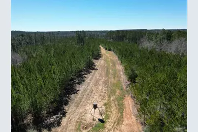 10 Robinsonville Rd, Atmore, AL 36502 - Photo 7