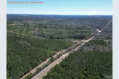 10 Robinsonville Rd, Atmore, AL 36502 - Photo 3