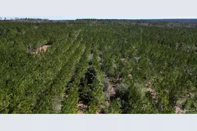 10 Robinsonville Rd, Atmore, AL 36502 - Photo 15