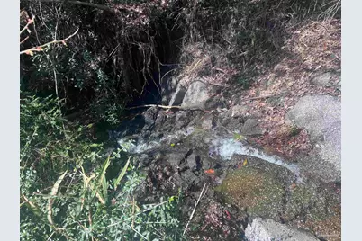 10 Robinsonville Rd, Atmore, AL 36502 - Photo 25