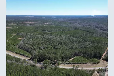 10 Robinsonville Rd, Atmore, AL 36502 - Photo 11