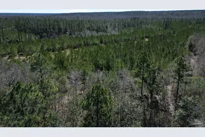 10 Robinsonville Rd, Atmore, AL 36502 - Photo 13