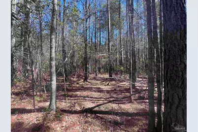 1 Robinsonville Rd, Atmore, AL 36502 - Photo 25