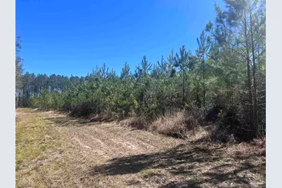 1 Robinsonville Rd, Atmore, AL 36502 - Photo 19