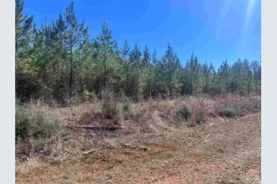 1 Robinsonville Rd, Atmore, AL 36502 - Photo 15