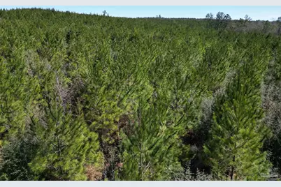 1 Robinsonville Rd, Atmore, AL 36502 - Photo 7