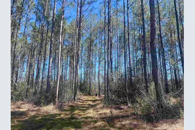 1 Robinsonville Rd, Atmore, AL 36502 - Photo 1