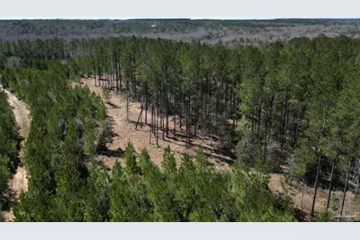 1 Robinsonville Rd, Atmore, AL 36502 - Photo 5