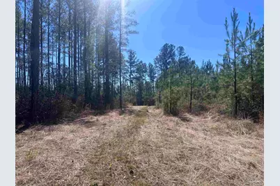 1 Robinsonville Rd, Atmore, AL 36502 - Photo 21