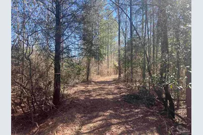 1 Robinsonville Rd, Atmore, AL 36502 - Photo 17