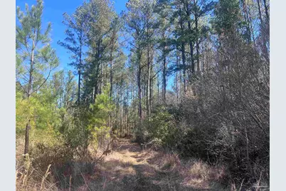 1 Robinsonville Rd, Atmore, AL 36502 - Photo 23