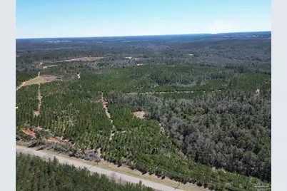 4 Robinsonville Rd, Atmore, AL 36502 - Photo 11