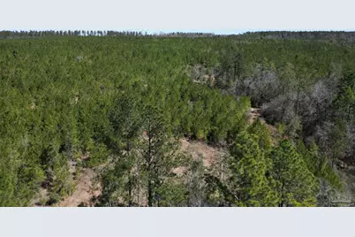 4 Robinsonville Rd, Atmore, AL 36502 - Photo 13