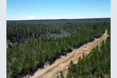 4 Robinsonville Rd, Atmore, AL 36502 - Photo 3