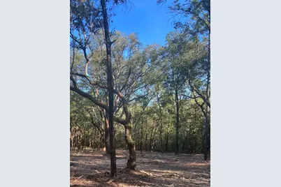 9499 Cornfield Way, Milton, FL 32583 - Photo 1