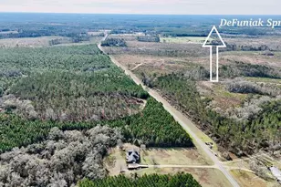 728 Otter Pond Rd, Westville, FL 32464 - Photo 9