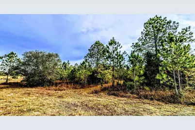 0 Royal Ln #Lot 1, Elberta, AL 36530 - Photo 3