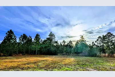 0 Royal Ln #Lot 1, Elberta, AL 36530 - Photo 9