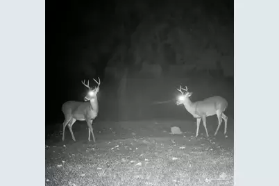 4940 Palmer Ridge Dr, Milton, FL 32570 - Photo 51