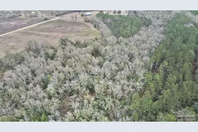 3000 Block N Pine Barren Rd, McDavid, FL 32568 - Photo 13