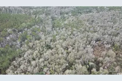 3000 Block N Pine Barren Rd, McDavid, FL 32568 - Photo 15