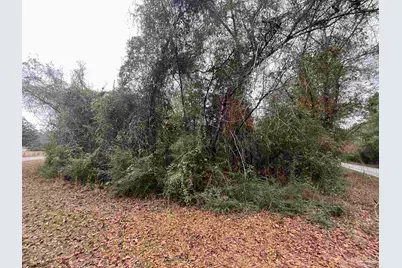 3000 Block N Pine Barren Rd, McDavid, FL 32568 - Photo 3