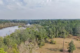 4621 Riley Rd, Milton, FL 32583 - Photo 49