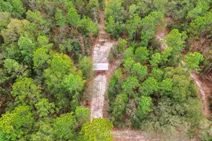 12339 Cooper Rd, Milton, FL 32564 - Photo 17