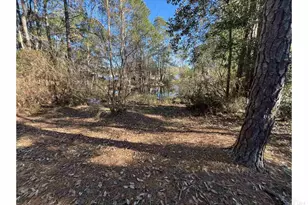 12325 Ailanthus Dr, Pensacola, FL 32506 - Photo 39