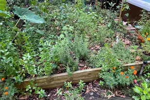 5921 Count Rd, Pensacola, FL 32503 - Photo 43