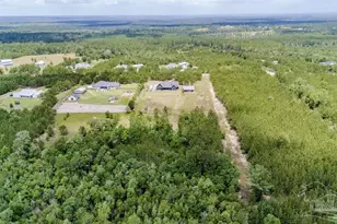 7664 Buffalo Ridge Rd, Pace, FL 32571 - Photo 47