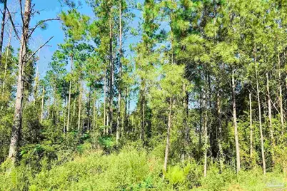 3142 Shearing Rd, Pace, FL 32571 - Photo 3