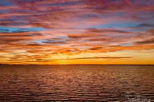 10098 Nelle Ave, Pensacola, FL 32507 - Photo 5