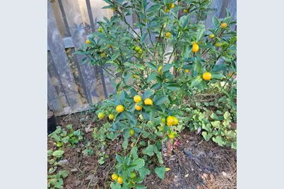 3407 Applegate St, Pensacola, FL 32514 - Photo 29