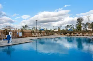 2018 Limpkin St, Cantonment, FL 32533 - Photo 19