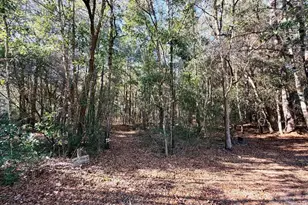 6277 Pansy Dr, Milton, FL 32570 - Photo 19