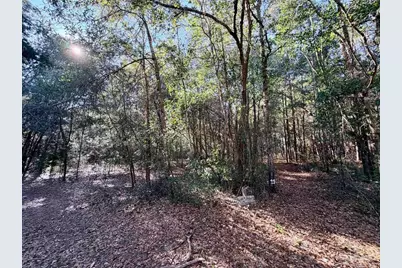 6277 Pansy Dr, Milton, FL 32570 - Photo 21