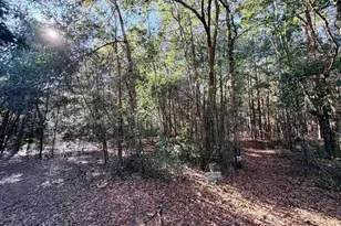 6277 Pansy Dr, Milton, FL 32570 - Photo 21