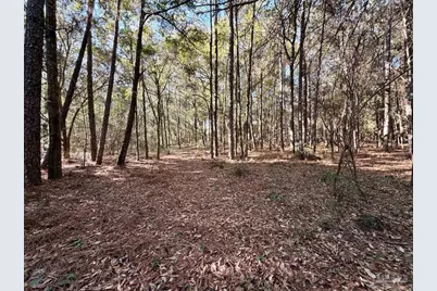 6277 Pansy Dr, Milton, FL 32570 - Photo 19