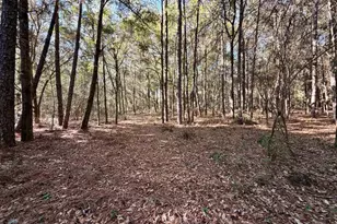 6277 Pansy Dr, Milton, FL 32570 - Photo 19