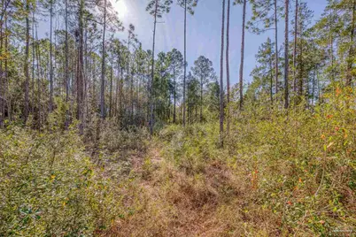 00 Petersen Pt Rd, Milton, FL 32583 - Photo 3