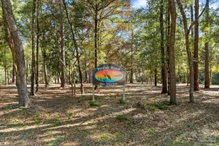 30794 Pine St, Perdido Beach, AL 36530 - Photo 57