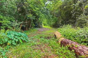 6640 Frank Reeder Rd, Pensacola, FL 32526 - Photo 29