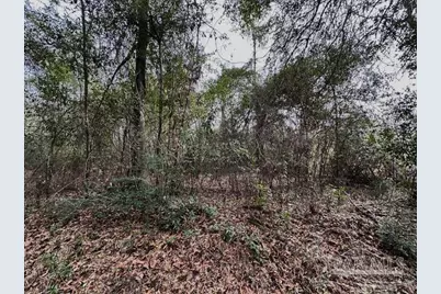 8 Blackmon St, Century, FL 32535 - Photo 3