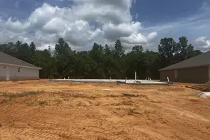 5280 Muscadine Way, Milton, FL 32570 - Photo 3