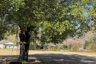 11560 Mobile Hwy, Pensacola, FL 32526 - Photo 7