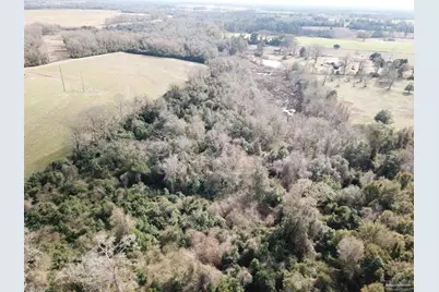 4+ Acres Hwy 4, Jay, FL 32565 - Photo 3